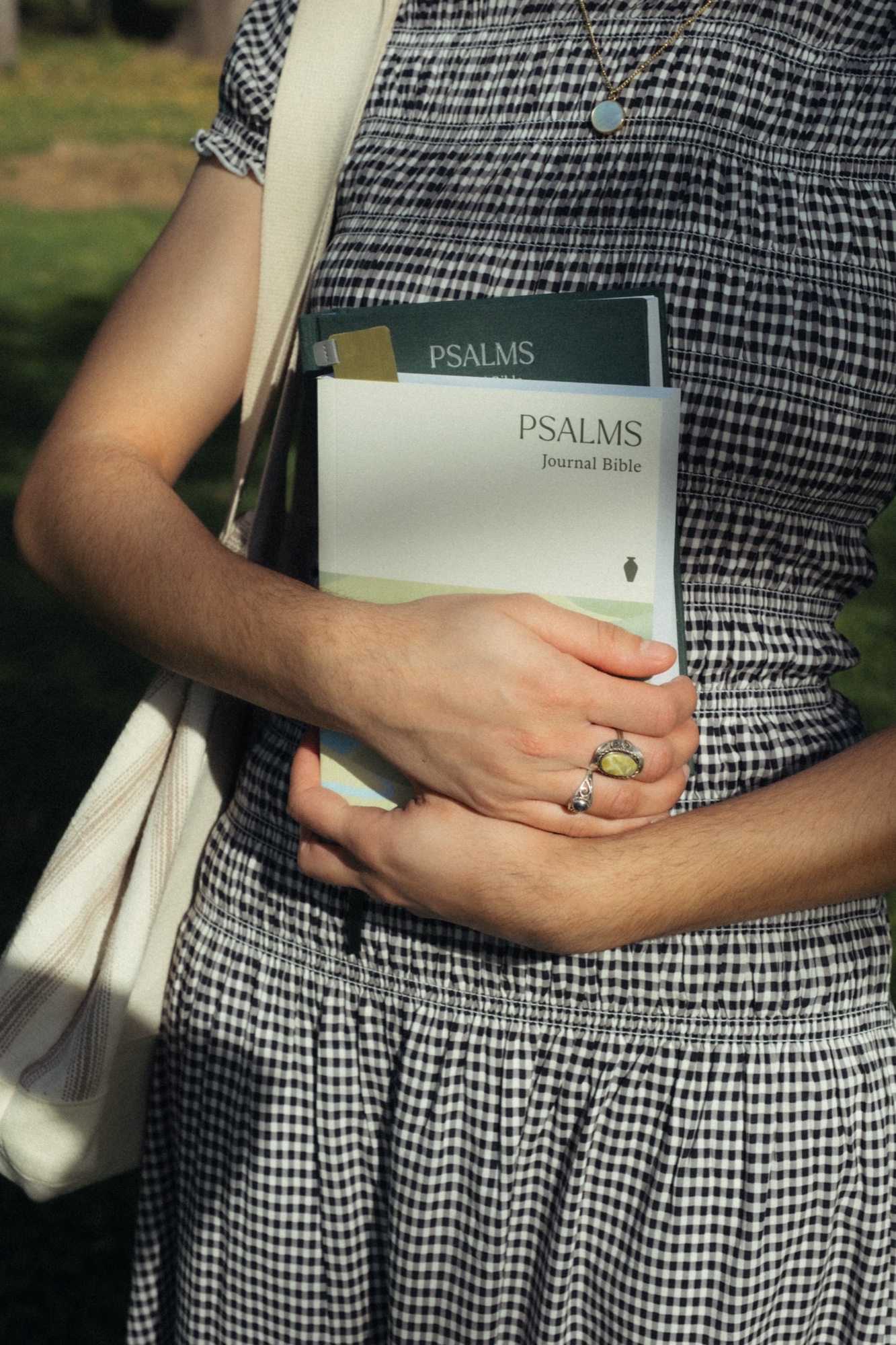 Journal Bibles: Lifestyle, Q1 2026 shoot, Psalms Journal Bible softcover in hand, hardcover edition behind it