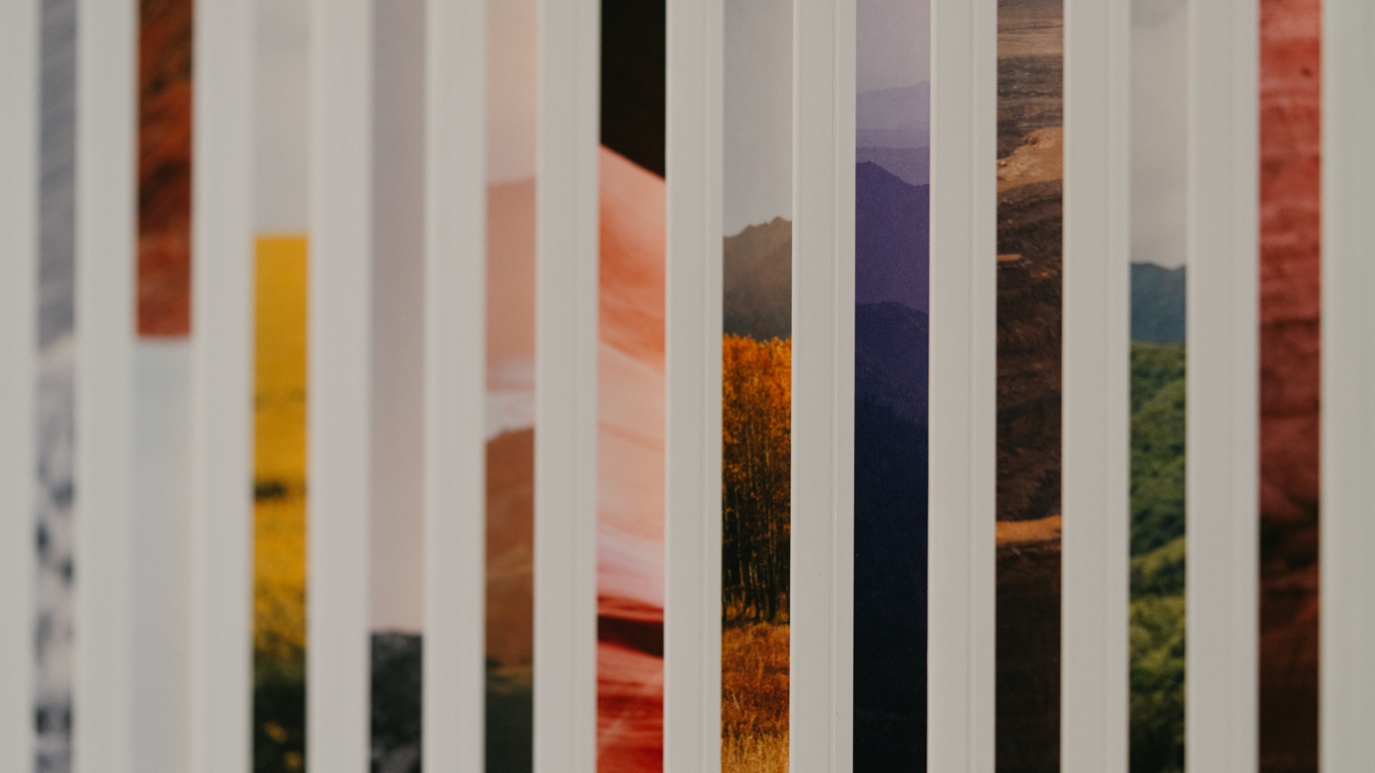 Alabaster Rebrand: Detail, New York rebrand shoot 2025, cover photographs between the white spines of the single-book series