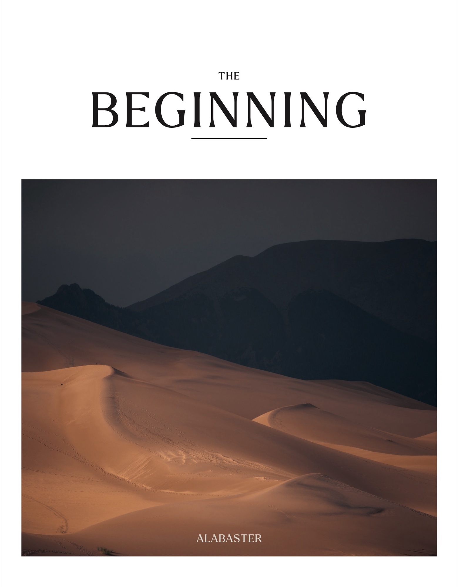 The Beginning: Standard edition, dust jacket front