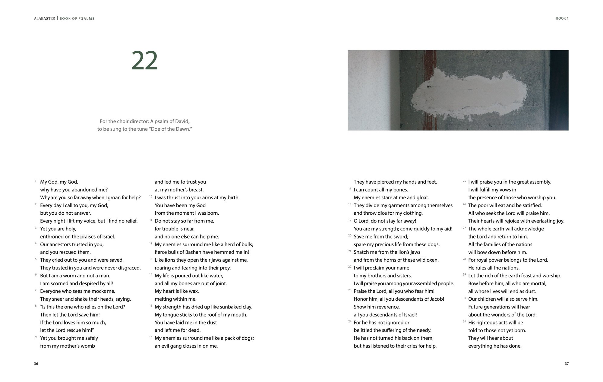 Wisdom Pairing, Deluxe: Interior spread, Psalm 22, pages 36-37
