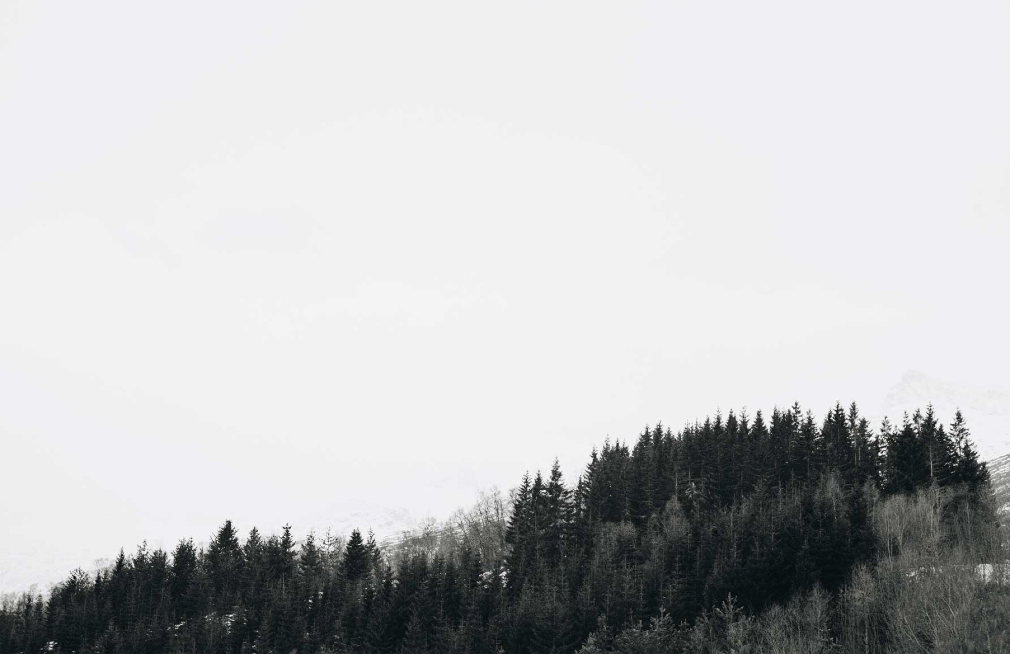 Northletters